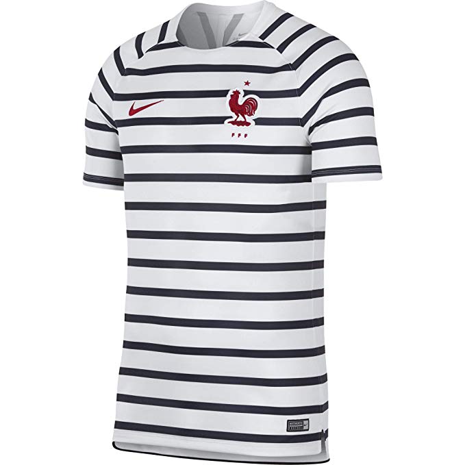 NIKE 2018-2019 France Dry Pre-Match Training Shirt (White)