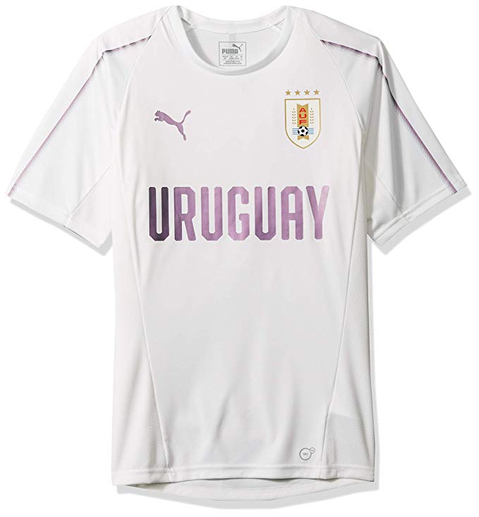 Puma Men's Uruguay Training Jersey