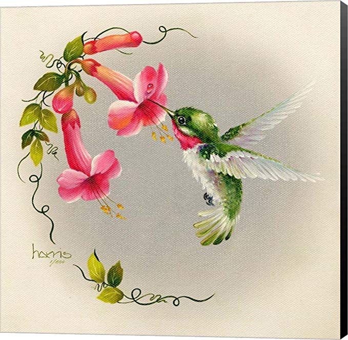 Hummingbirds with Trumpet Flowers 1 by Peggy Harris Canvas Art Wall Picture, Museum Wrapped with Black Sides, 14 x 14 inches